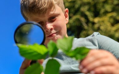 Child looking through a magnifying glass at leaves in bright sunlight with a blue sky and trees behind.