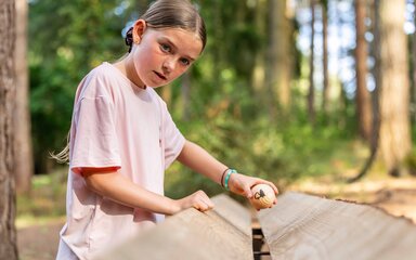 A child playing a wooden marble onto the marble run at Alice Holt Forest
