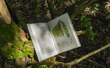 Centenary book