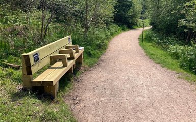 A wooden bench with divided seating areas shown at the edge of a forest path.