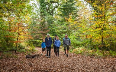 Two children and three adults walking in the autumn forest.