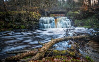 A small waterfall in the forest.
