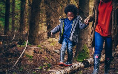 Kid walking along trunk log holding parent's hand