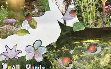 A collage of different magazine cuttings makes up an abstract tree with blossom and apples. Cut out text spells ‘Crab Apple’ at the bottom of the page.