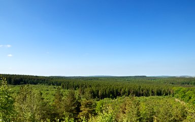 Viewpoint at New Fancy, Forest of Dean