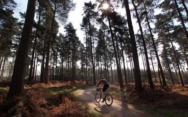 Queen elizabeth country park mountain bike trails sale