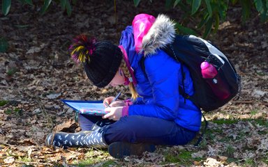Student recording observations for woodland activity