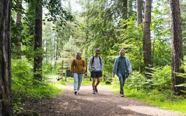 Three people smiling as they walk along a forest path in the sun.
