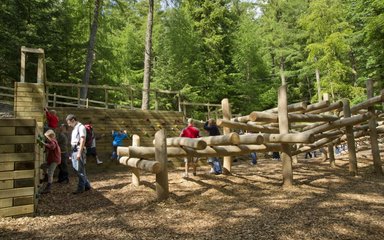 Whinlatter forest play area