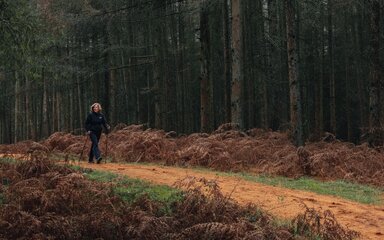 A woman enjoys nordic walking through the trees