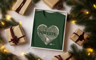 An open gift box containing a folded jumper with 'forests' written on it, surrounded by wrapped gifts, pine cones and fairy lights.