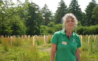 A female volunteer in a green polo shirt stands smiling in the sun, surrounded by colourful tree tubes