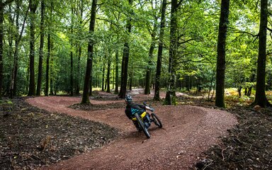 A man riding a three-wheeled adapted bike along a trail in a forest.