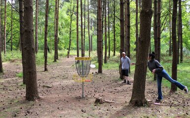 A man and woman playing disc golf among the trees.