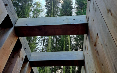 A view of trees through a wooden structure