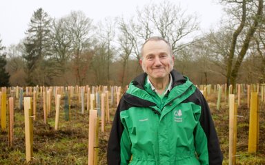 A male volunteer in a green jacket stands smiling in a woodland surrounded by colourful tree tubes