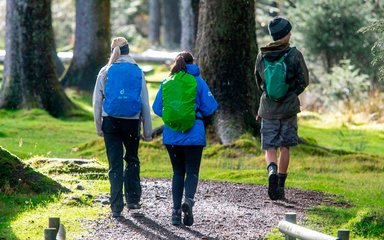 A group of three people wearing coats and backpacks walking along a forest path.