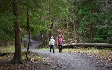 Two women walking along a forest path.