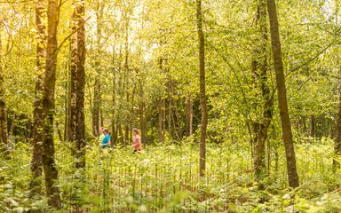 Two people running in the forest