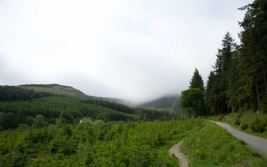 Trail and landscape at Whinlatter