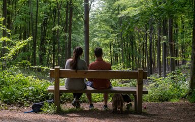 Two people sitting on a bench in the forest, seen from behind.