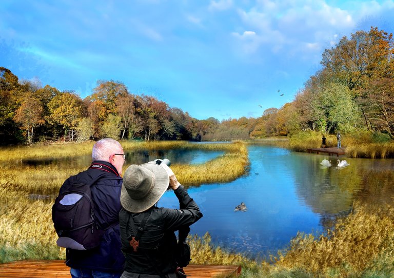 Upper Cannop from the south. There will be a mixture of open water, marsh and reedbeds to create a haven for wildlife to flourish