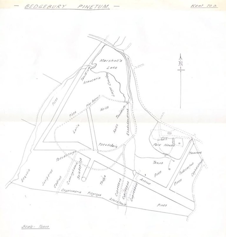 Hand-draw map, black ink on white paper.