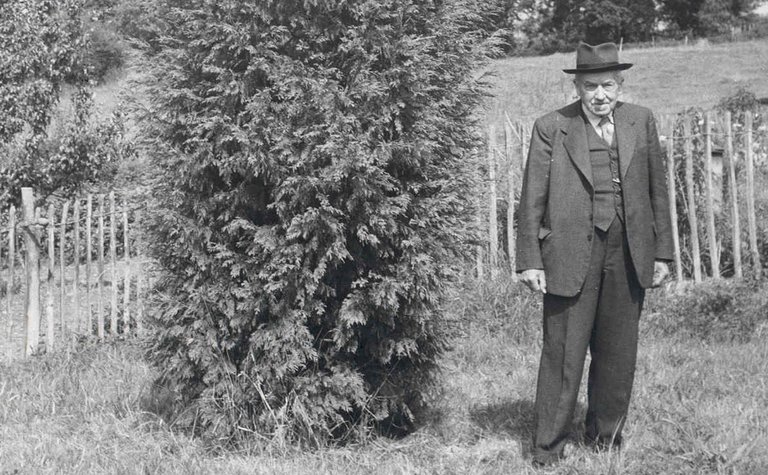 Black and white archive photo of an elderly man wearing a suit and hat, standing next to a conifer tree,