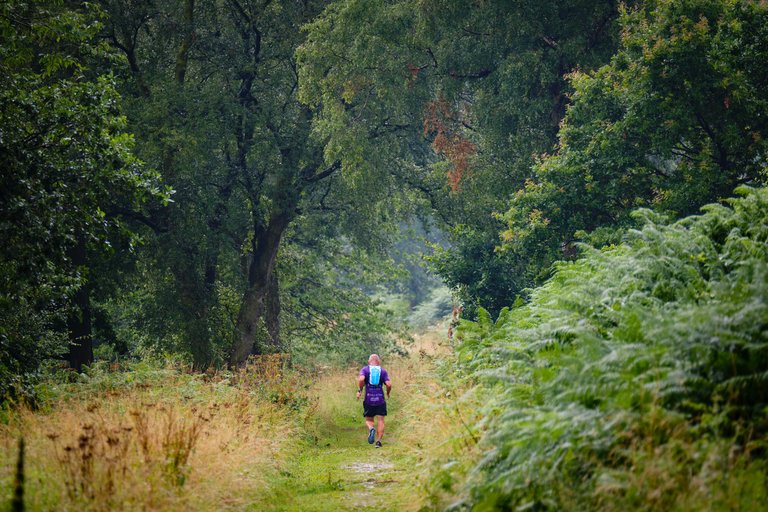 Individual running through dense green forest on grassy path