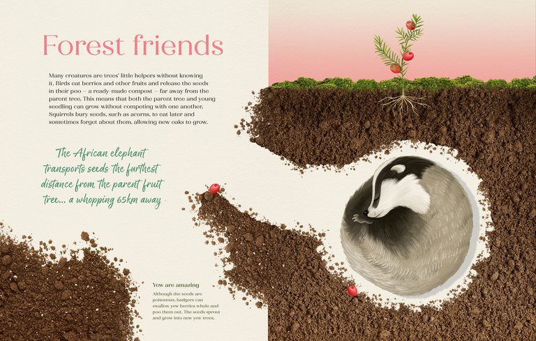 page layout and graphic of badger with text