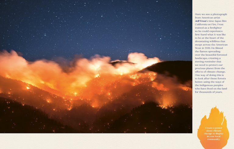 time lapsed photo of a forest fire