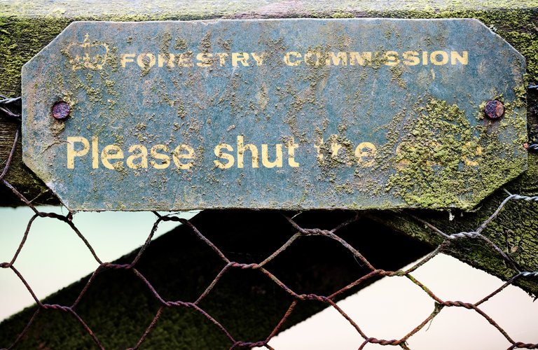 Mossy Forestry Commission sign through metal fencing