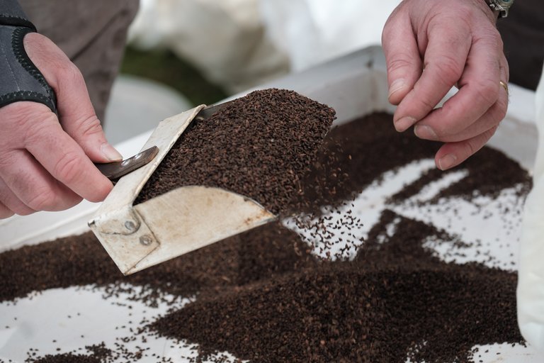 Hands scooping up soil with a small shovel 