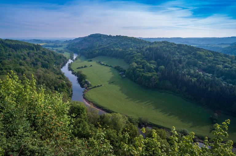 Aerial view of green fields and forest with a river winding through, with blue summer sky.