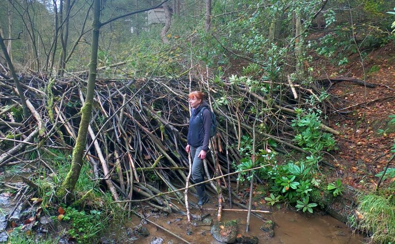 A woman stands next to a beaver dam, which is taller than her.